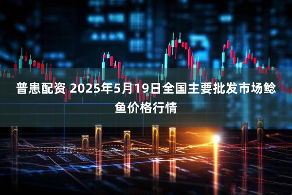 普患配资 2025年5月19日全国主要批发市场鲶鱼价格行情