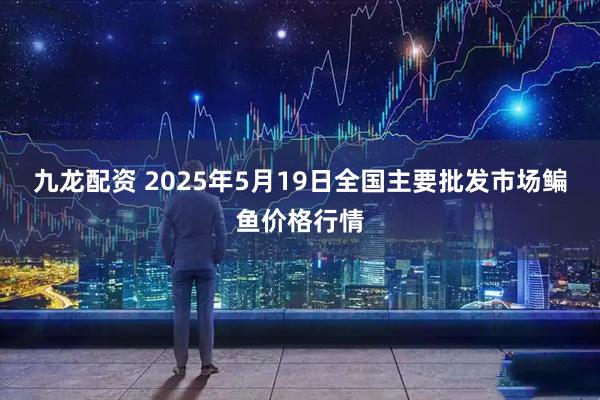 九龙配资 2025年5月19日全国主要批发市场鳊鱼价格行情