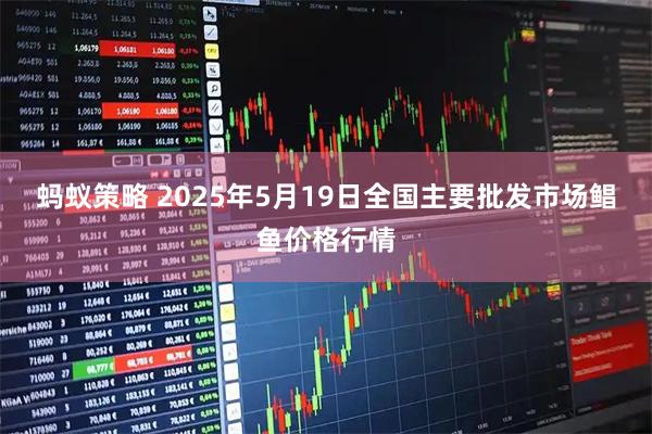 蚂蚁策略 2025年5月19日全国主要批发市场鲳鱼价格行情