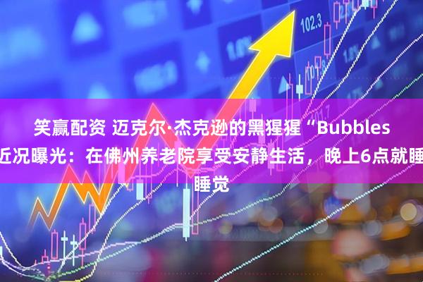 笑赢配资 迈克尔·杰克逊的黑猩猩“Bubbles”近况曝光：在佛州养老院享受安静生活，晚上6点就睡觉