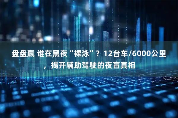 盘盘赢 谁在黑夜“裸泳”？12台车/6000公里，揭开辅助驾驶的夜盲真相