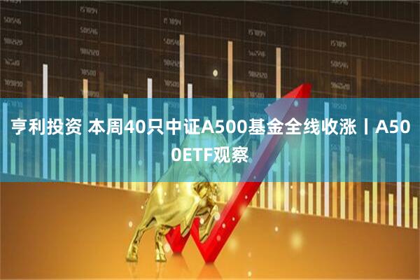 亨利投资 本周40只中证A500基金全线收涨丨A500ETF观察